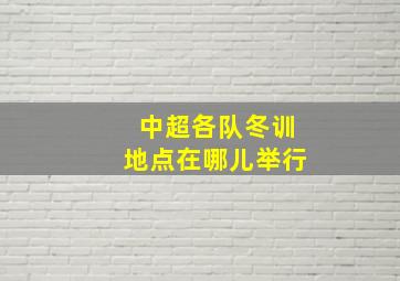 中超各队冬训地点在哪儿举行