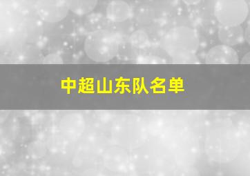 中超山东队名单