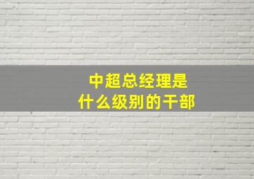 中超总经理是什么级别的干部