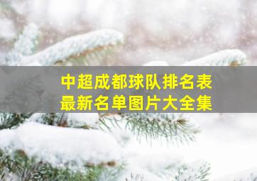 中超成都球队排名表最新名单图片大全集