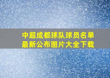 中超成都球队球员名单最新公布图片大全下载