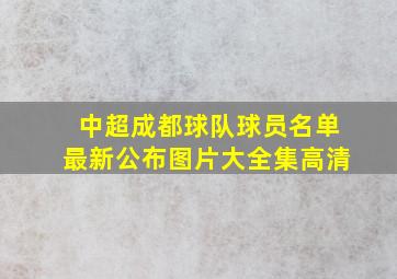 中超成都球队球员名单最新公布图片大全集高清