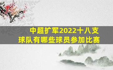 中超扩军2022十八支球队有哪些球员参加比赛