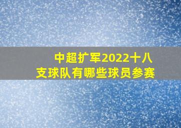 中超扩军2022十八支球队有哪些球员参赛