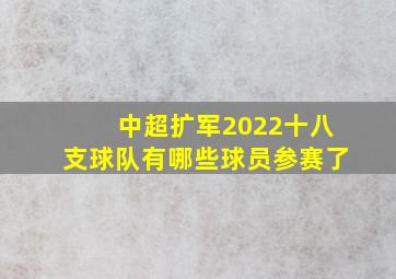 中超扩军2022十八支球队有哪些球员参赛了