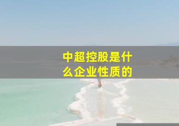 中超控股是什么企业性质的