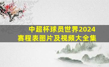 中超杯球员世界2024赛程表图片及视频大全集