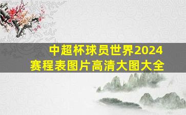 中超杯球员世界2024赛程表图片高清大图大全