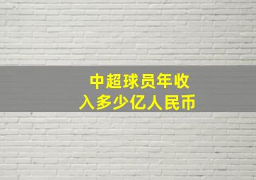 中超球员年收入多少亿人民币