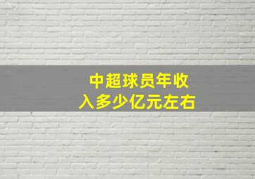 中超球员年收入多少亿元左右