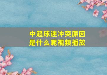 中超球迷冲突原因是什么呢视频播放