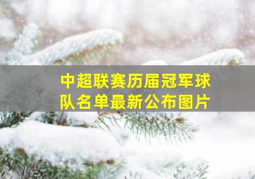 中超联赛历届冠军球队名单最新公布图片