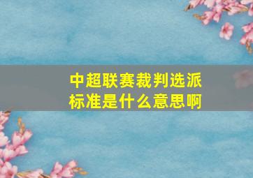 中超联赛裁判选派标准是什么意思啊