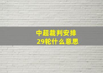 中超裁判安排29轮什么意思