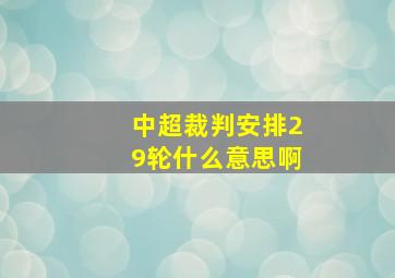 中超裁判安排29轮什么意思啊