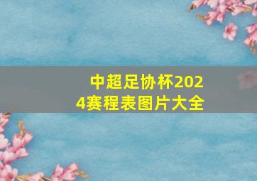 中超足协杯2024赛程表图片大全