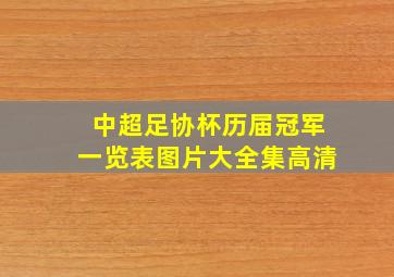 中超足协杯历届冠军一览表图片大全集高清