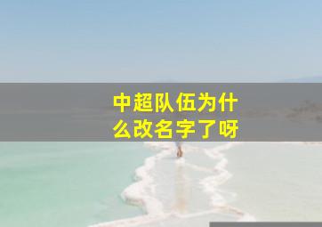 中超队伍为什么改名字了呀