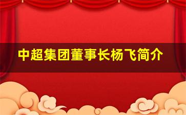 中超集团董事长杨飞简介