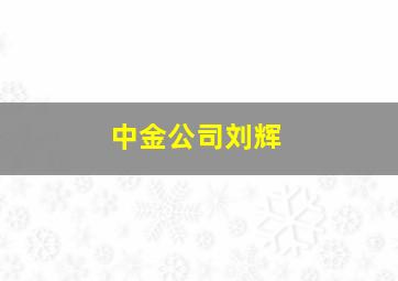 中金公司刘辉