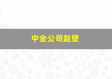 中金公司赵壁