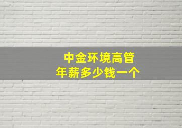 中金环境高管年薪多少钱一个