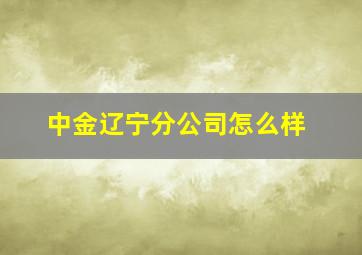 中金辽宁分公司怎么样