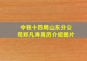 中铁十四局山东分公司郑凡涛简历介绍图片