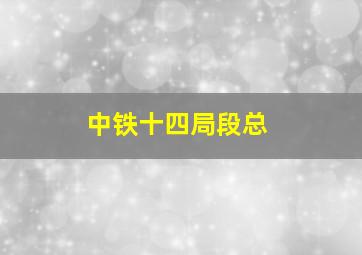 中铁十四局段总