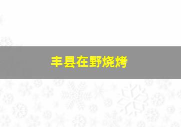 丰县在野烧烤