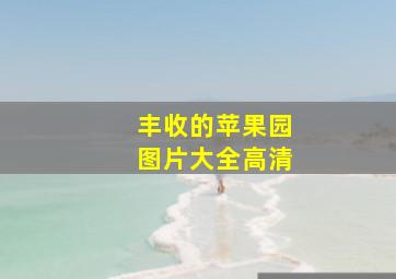 丰收的苹果园图片大全高清