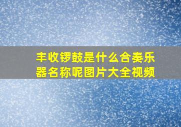 丰收锣鼓是什么合奏乐器名称呢图片大全视频