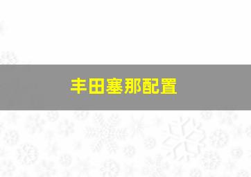 丰田塞那配置