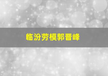 临汾劳模郭晋峰