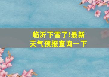 临沂下雪了!最新天气预报查询一下