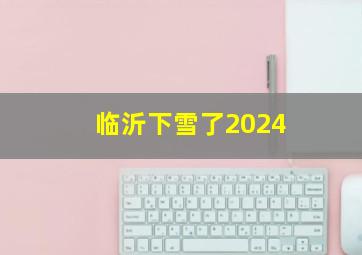 临沂下雪了2024