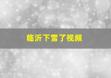 临沂下雪了视频