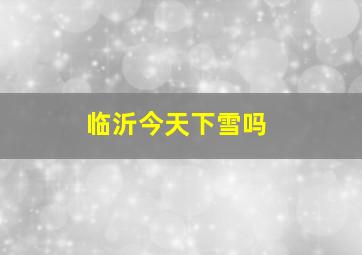 临沂今天下雪吗