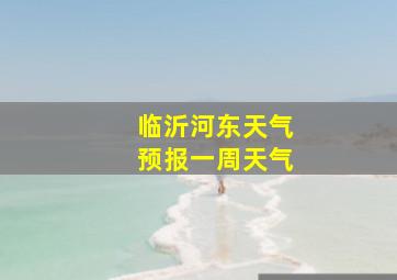 临沂河东天气预报一周天气