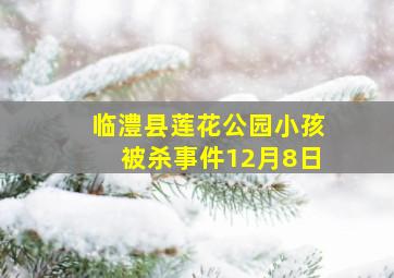 临澧县莲花公园小孩被杀事件12月8日