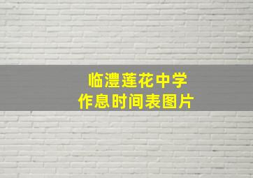 临澧莲花中学作息时间表图片