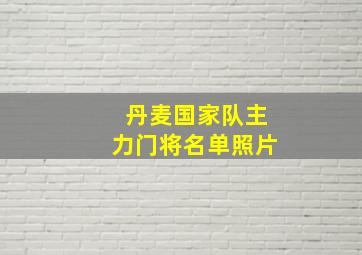 丹麦国家队主力门将名单照片