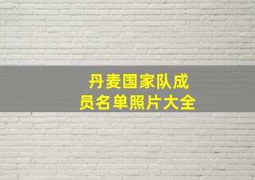 丹麦国家队成员名单照片大全