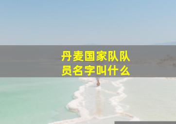 丹麦国家队队员名字叫什么