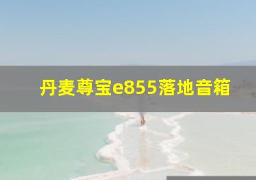 丹麦尊宝e855落地音箱