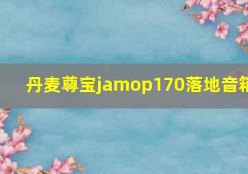 丹麦尊宝jamop170落地音箱