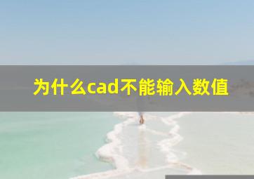 为什么cad不能输入数值