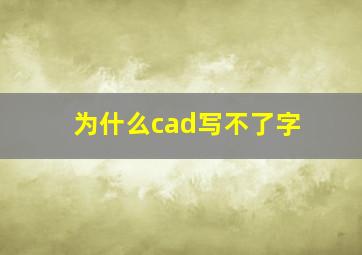 为什么cad写不了字