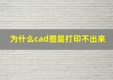 为什么cad图层打印不出来