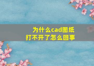 为什么cad图纸打不开了怎么回事